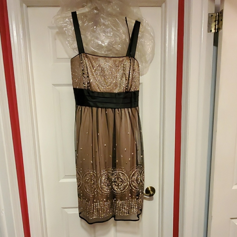 Sparkle and shine party dress